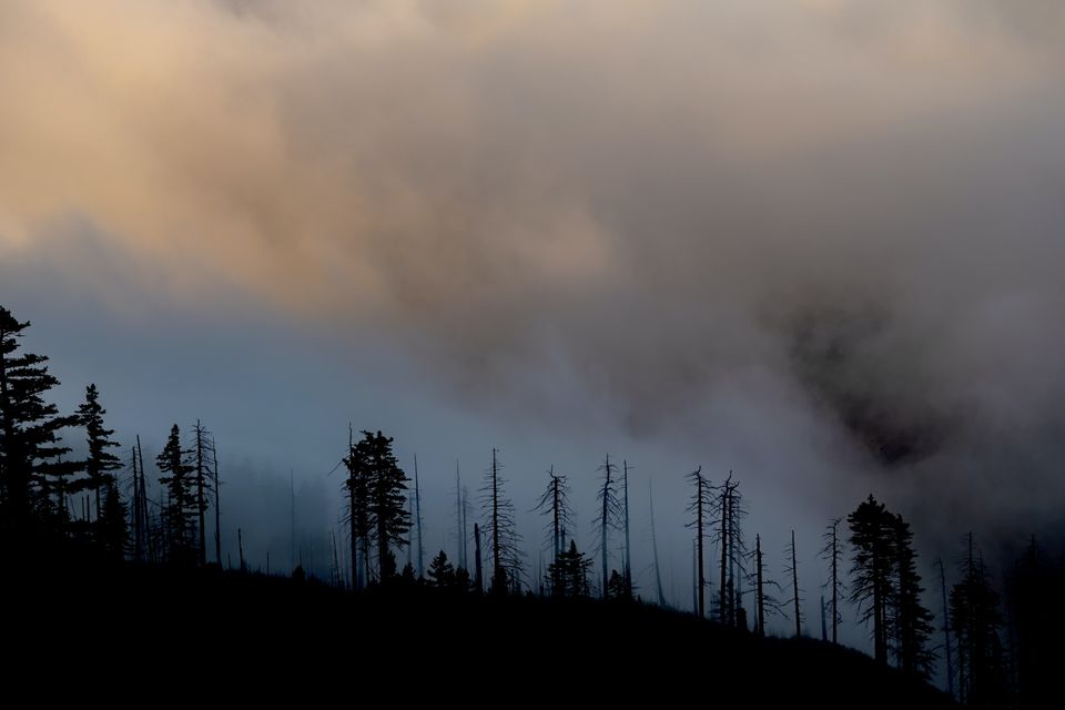 Canadian Wildfires and Air Filtration