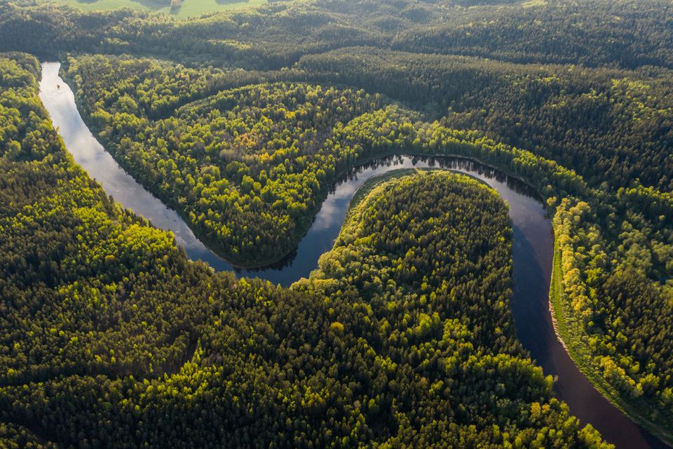 On the Brink (Pt. 2 of 2); Methane Guns, The Limits of Tropical Forests